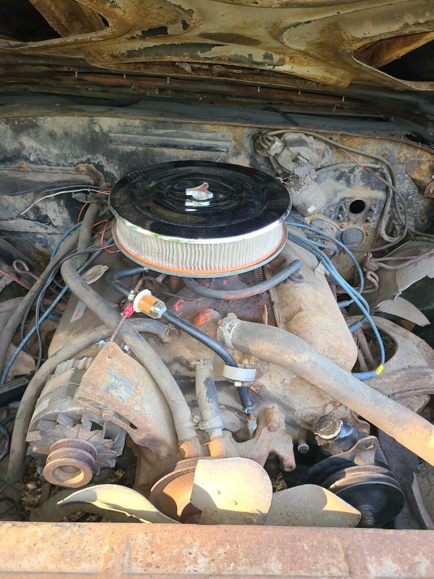Chevrolet-Chevelle-1969-Coupe-37