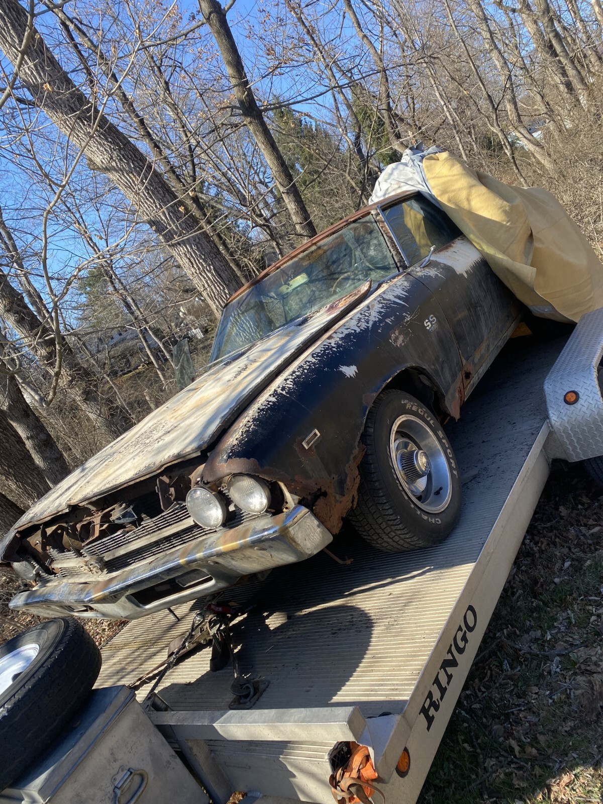 Chevrolet-Chevelle-1969-Coupe-5