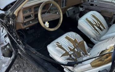 Chevrolet-Chevelle-1977-Gray-6