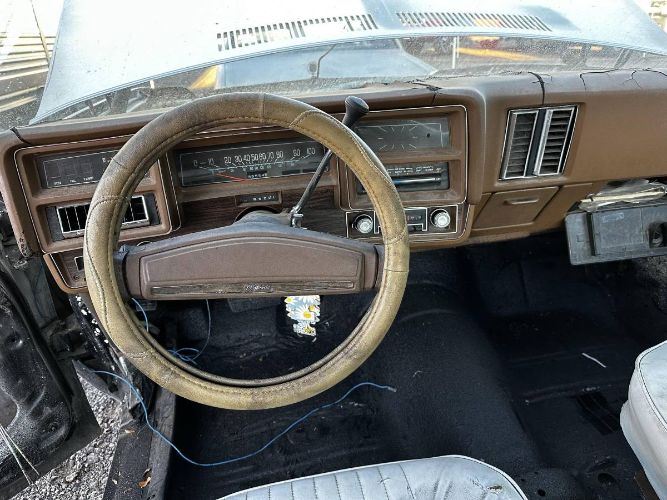 Chevrolet-Chevelle-1977-Gray-8