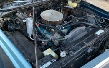 Chevrolet-Chevelle-1977-Green-6