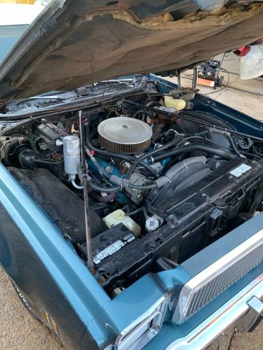 Chevrolet-Chevelle-1977-Green-6