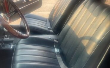 Chevrolet-Chevelle-ss-1966-2