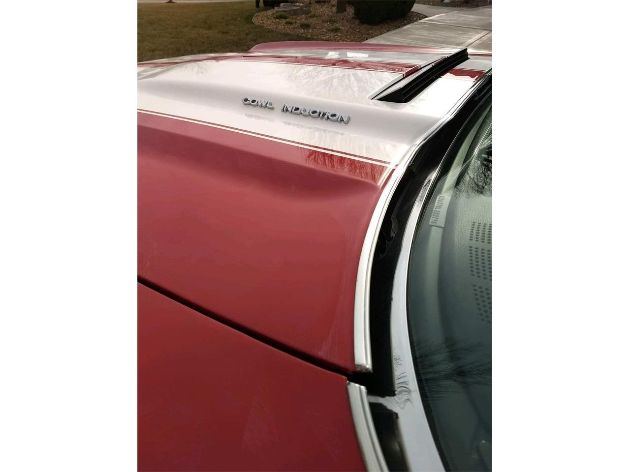 Chevrolet-Chevelle-ss-1970-Spectra-red.-75-A-White-6