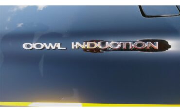 Chevrolet-Chevelle-ss-1971-Sunflower-Yellow-Black-57