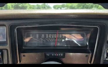 Chevrolet-Chevelle-ss-1973-Brown-metallic-metal-Beige-1