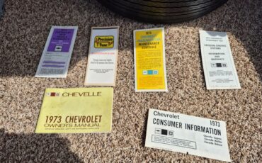 Chevrolet-Chevelle-ss-1973-Brown-metallic-metal-Beige-100