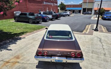 Chevrolet-Chevelle-ss-1973-Brown-metallic-metal-Beige-12