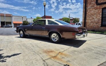 Chevrolet-Chevelle-ss-1973-Brown-metallic-metal-Beige-13
