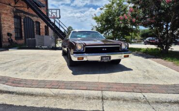 Chevrolet-Chevelle-ss-1973-Brown-metallic-metal-Beige-14