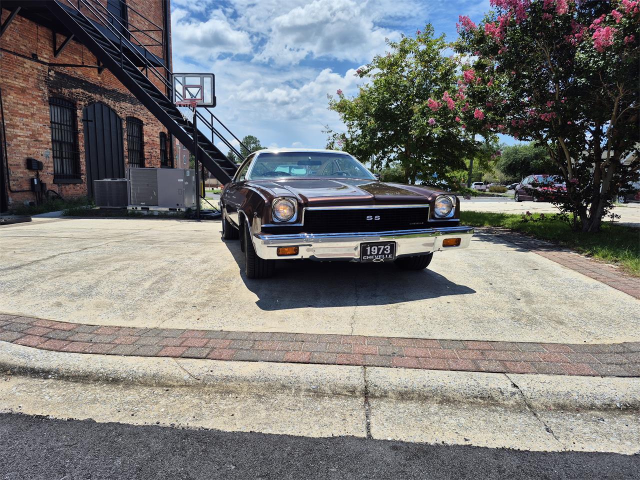 Chevrolet-Chevelle-ss-1973-Brown-metallic-metal-Beige-14