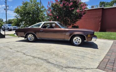 Chevrolet-Chevelle-ss-1973-Brown-metallic-metal-Beige-15