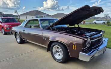 Chevrolet-Chevelle-ss-1973-Brown-metallic-metal-Beige-17