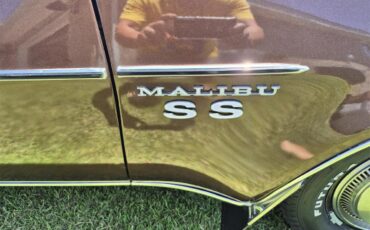 Chevrolet-Chevelle-ss-1973-Brown-metallic-metal-Beige-19