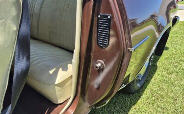 Chevrolet-Chevelle-ss-1973-Brown-metallic-metal-Beige-22