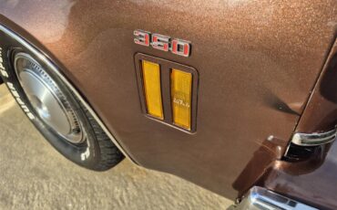 Chevrolet-Chevelle-ss-1973-Brown-metallic-metal-Beige-23