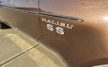 Chevrolet-Chevelle-ss-1973-Brown-metallic-metal-Beige-27