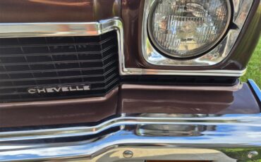 Chevrolet-Chevelle-ss-1973-Brown-metallic-metal-Beige-28
