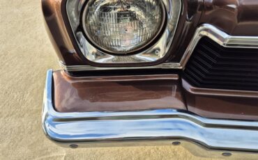 Chevrolet-Chevelle-ss-1973-Brown-metallic-metal-Beige-29
