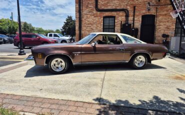 Chevrolet-Chevelle-ss-1973-Brown-metallic-metal-Beige-3