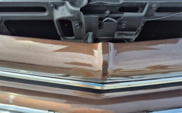 Chevrolet-Chevelle-ss-1973-Brown-metallic-metal-Beige-34