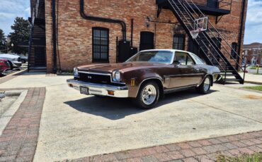 Chevrolet-Chevelle-ss-1973-Brown-metallic-metal-Beige