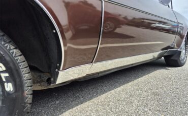Chevrolet-Chevelle-ss-1973-Brown-metallic-metal-Beige-38