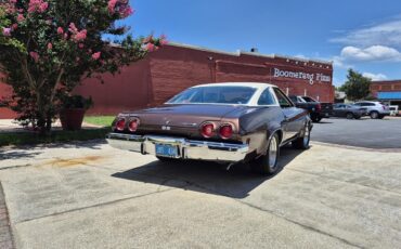 Chevrolet-Chevelle-ss-1973-Brown-metallic-metal-Beige-4
