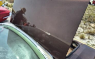 Chevrolet-Chevelle-ss-1973-Brown-metallic-metal-Beige-43