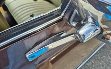 Chevrolet-Chevelle-ss-1973-Brown-metallic-metal-Beige-46