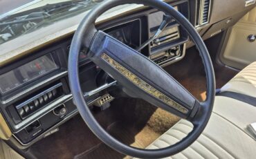 Chevrolet-Chevelle-ss-1973-Brown-metallic-metal-Beige-49