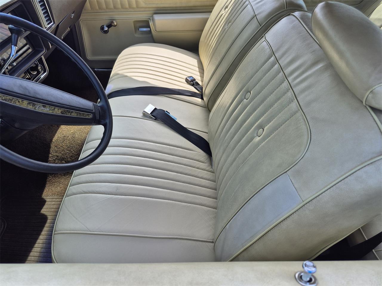 Chevrolet-Chevelle-ss-1973-Brown-metallic-metal-Beige-50