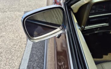 Chevrolet-Chevelle-ss-1973-Brown-metallic-metal-Beige-51