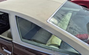 Chevrolet-Chevelle-ss-1973-Brown-metallic-metal-Beige-53
