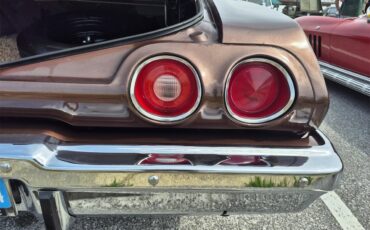Chevrolet-Chevelle-ss-1973-Brown-metallic-metal-Beige-55