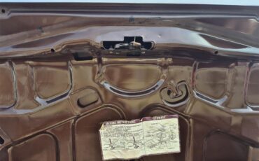 Chevrolet-Chevelle-ss-1973-Brown-metallic-metal-Beige-6