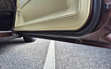 Chevrolet-Chevelle-ss-1973-Brown-metallic-metal-Beige-60