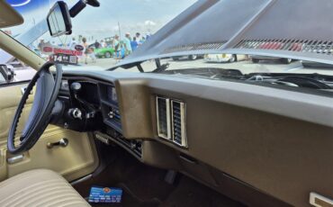 Chevrolet-Chevelle-ss-1973-Brown-metallic-metal-Beige-63