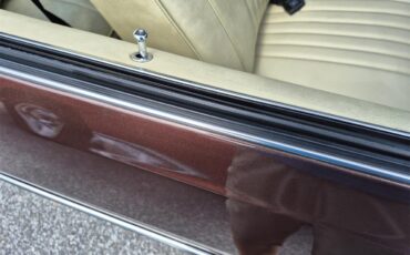 Chevrolet-Chevelle-ss-1973-Brown-metallic-metal-Beige-65