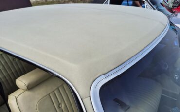 Chevrolet-Chevelle-ss-1973-Brown-metallic-metal-Beige-66