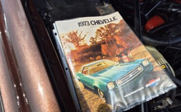 Chevrolet-Chevelle-ss-1973-Brown-metallic-metal-Beige-70