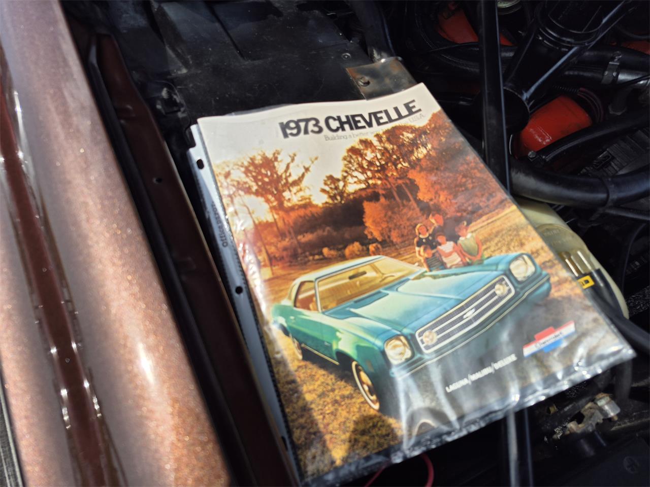 Chevrolet-Chevelle-ss-1973-Brown-metallic-metal-Beige-70