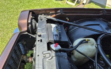 Chevrolet-Chevelle-ss-1973-Brown-metallic-metal-Beige-78