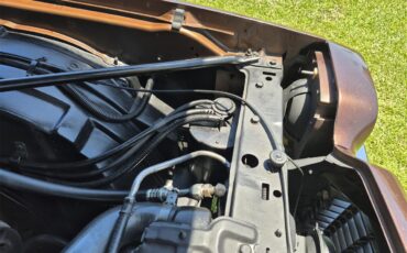 Chevrolet-Chevelle-ss-1973-Brown-metallic-metal-Beige-79