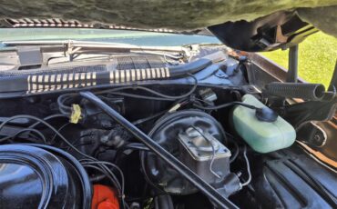 Chevrolet-Chevelle-ss-1973-Brown-metallic-metal-Beige-80