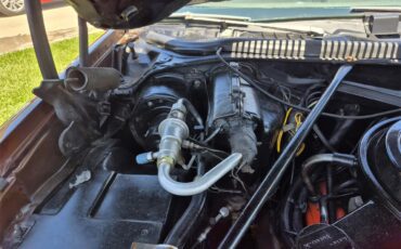 Chevrolet-Chevelle-ss-1973-Brown-metallic-metal-Beige-81