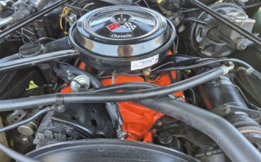 Chevrolet-Chevelle-ss-1973-Brown-metallic-metal-Beige-83