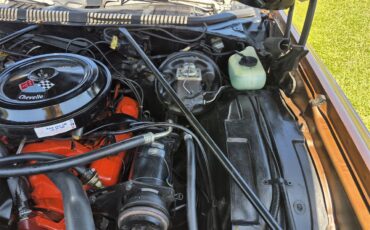 Chevrolet-Chevelle-ss-1973-Brown-metallic-metal-Beige-85