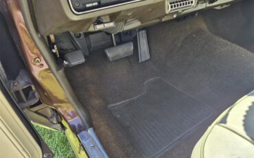 Chevrolet-Chevelle-ss-1973-Brown-metallic-metal-Beige-91