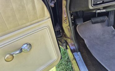 Chevrolet-Chevelle-ss-1973-Brown-metallic-metal-Beige-92